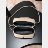 YSL GABY SMALL Vanity Bag 22cm