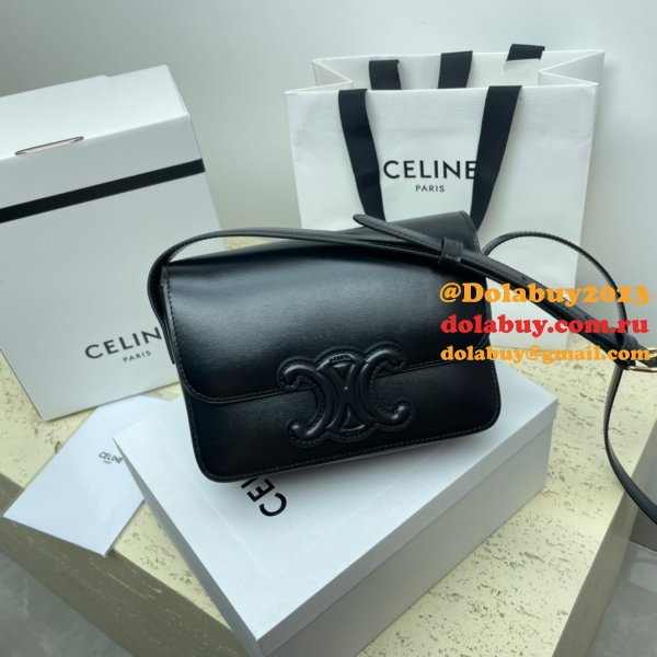 1:1 Replica Celine Triomphe Teen Luxury Handbag