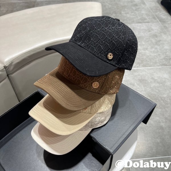 Wholesale Dior Replica AAA+ Hats Caps Outlet