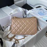 1:1 Replica AS2649 Calfskin & Gold-Tone Metal Flap Bag