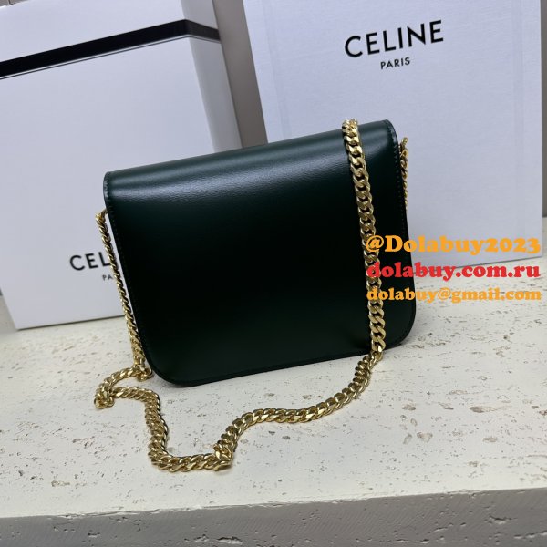 Designer Teen Triomphe Shiny 113583 Amazone Celine Replica Bag