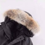 Canada Goose Chilliwack Bomber Jacket