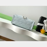 2026 Best CC 25 Mini Handbag AS5631