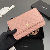 Top CC woc Lambskin women bag AP0250