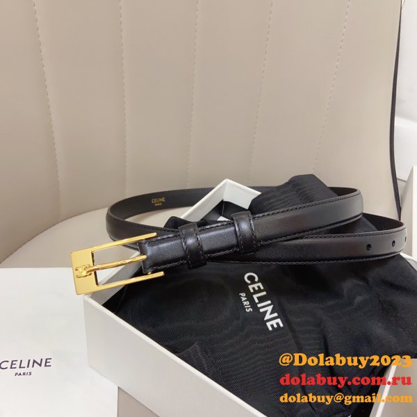 This belt bag celine replica Dolabuy