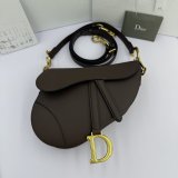 Classical dior Saddle Bag